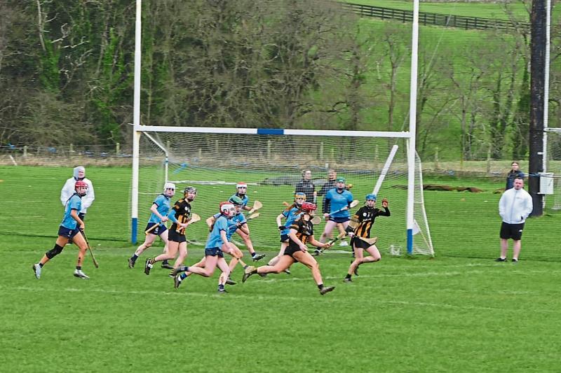 Kilkenny Minors dig deep to see off Dublin threat