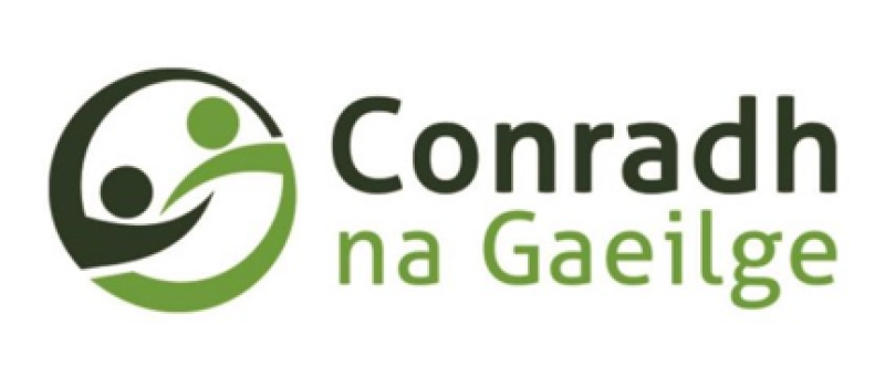 Assembly to be held today following  funding cuts of nearly &euro;820,000 to Irish language community