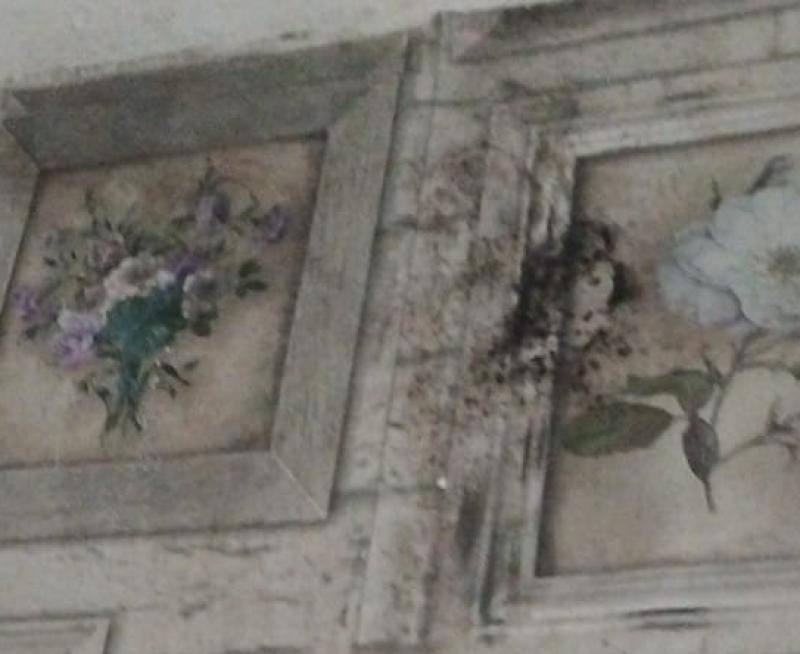 Kilkenny family’s plea over mould and leaks in house