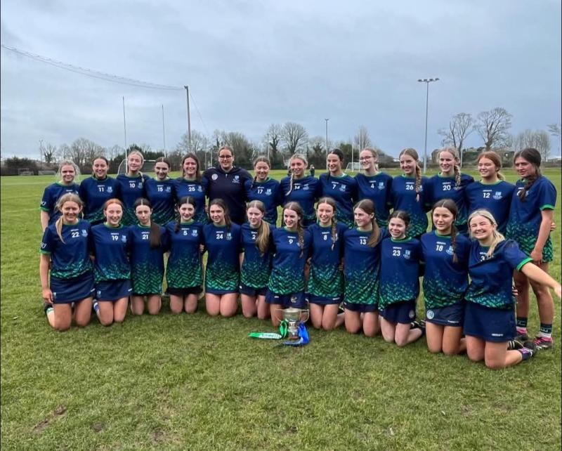 Coláiste Mhuire Johnstown surge takes them to All-Ireland glory - Kilkenny People Sport
