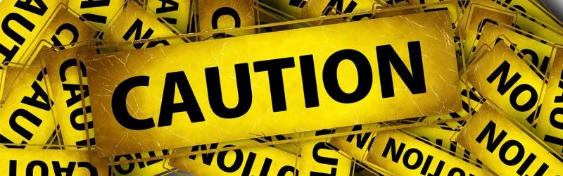 WARNING: Kilkenny people warned over loose wild animal