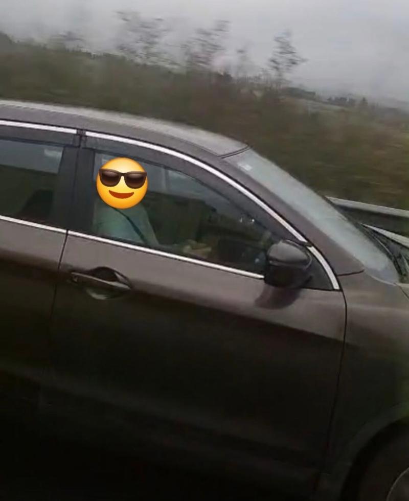'This makes my blood boil' Picture of Kilkenny driver texting phone with no hands on the wheel