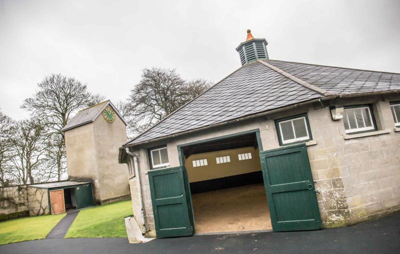 REVEALED: The eye-watering estimated wealth of Kilkenny stud owner