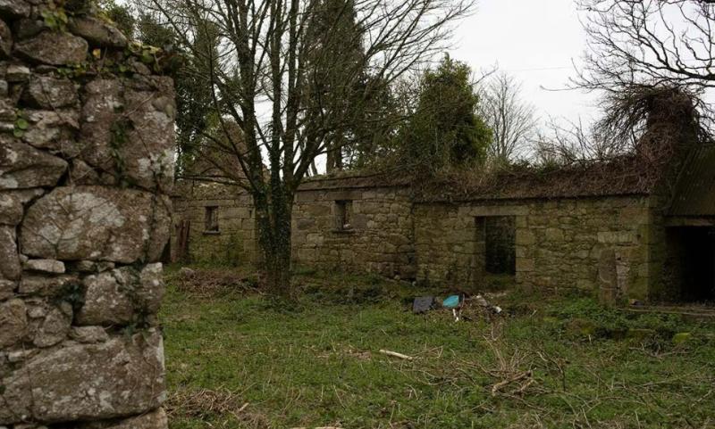 Home near Kilkenny features on hit RTÉ programme The Great House Revival 