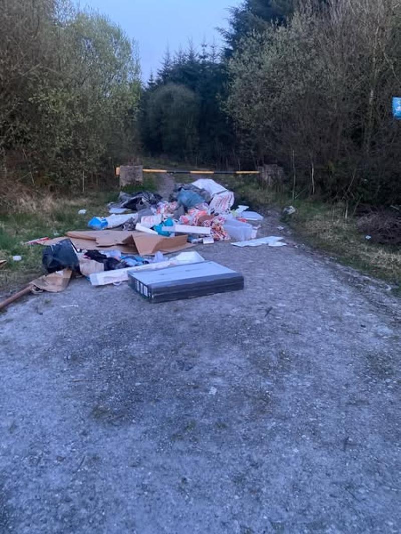 Kilkenny County Council clear up rubbish left by 'g*******s'