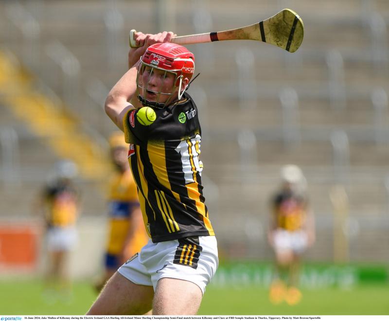 Rampant Kilkenny see off Wexford in Leinster Minor Championship clash 