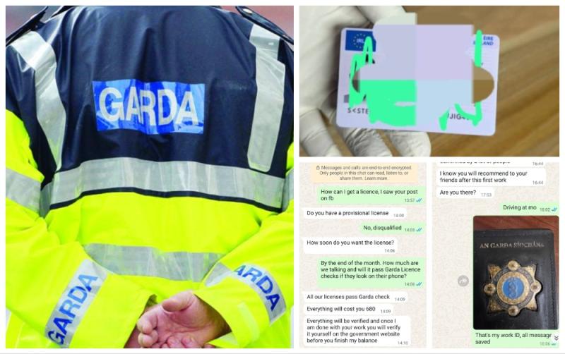 Garda&iacute; sting scammer offering fake Irish driving licences in hilarious WhatsApp exchange