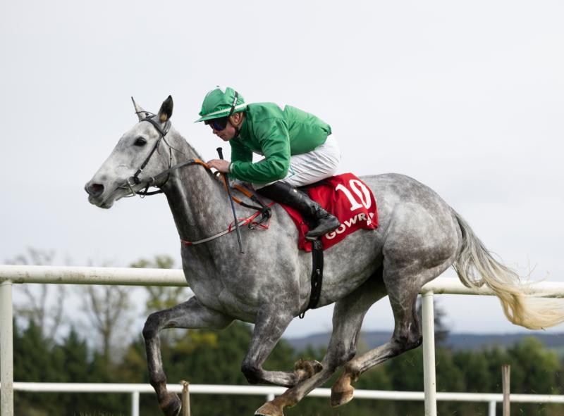 Kilkenny racing success on busy Easter Weekend of action around the country
