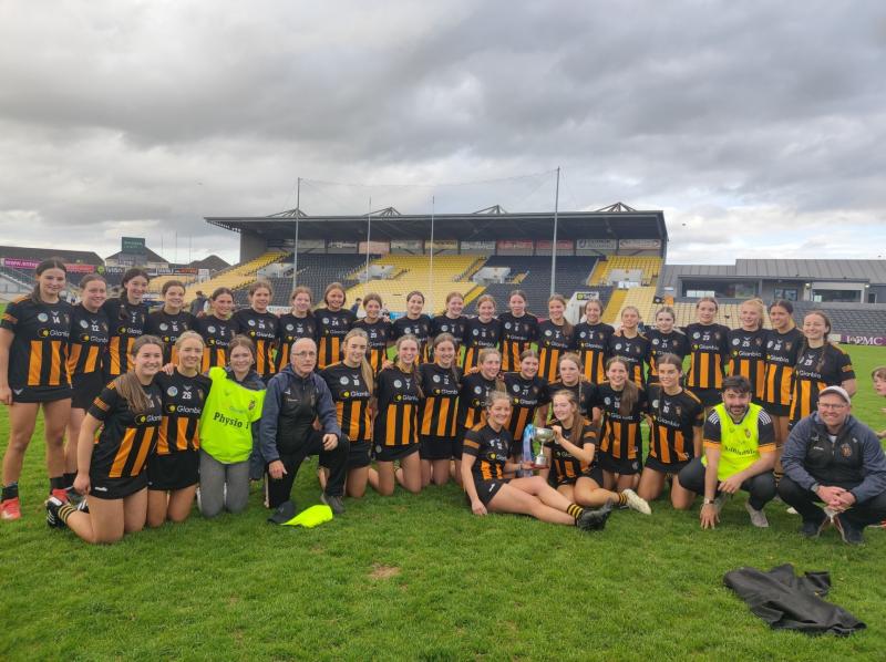 All-Ireland glory for Kilkenny as they beat Cork in memorable UPMC Nowlan Park decider