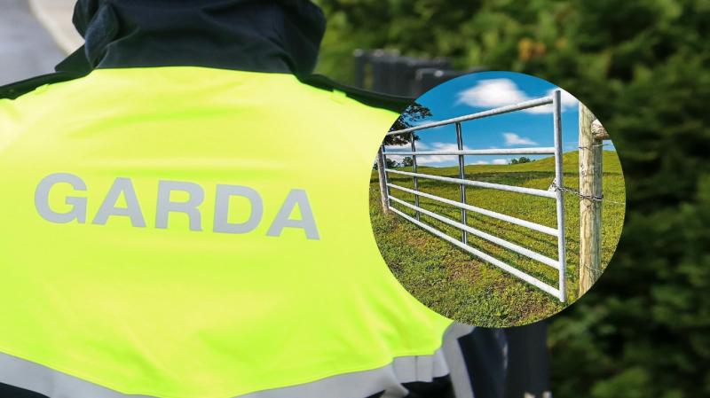RIP: Separate investigations underway after man is found dead on Tipperary farm