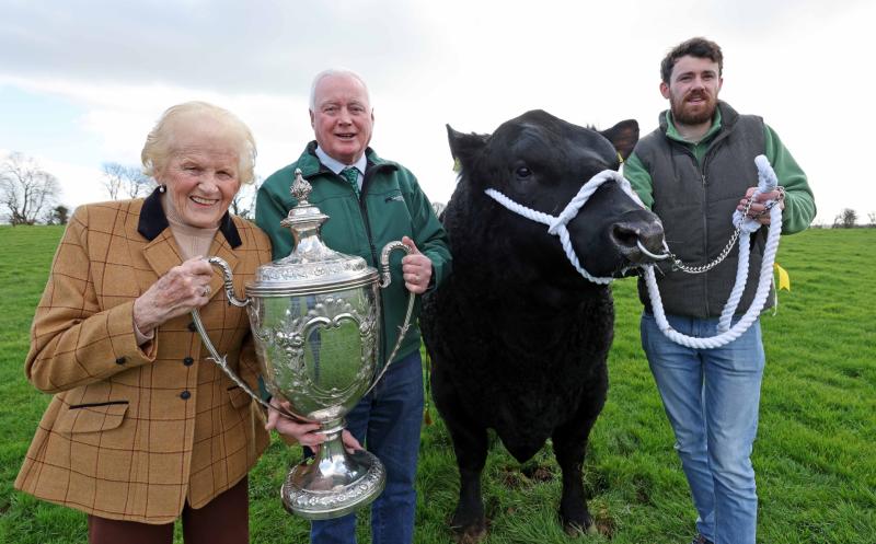 Kilkenny cattle breeders invited to Aberdeen Angus All Ireland 