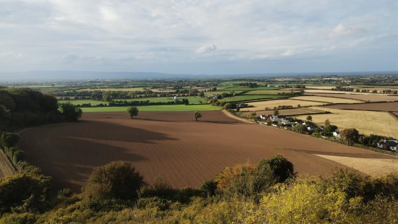 Big land owners in Kilkenny 'should be stopped from buying land'