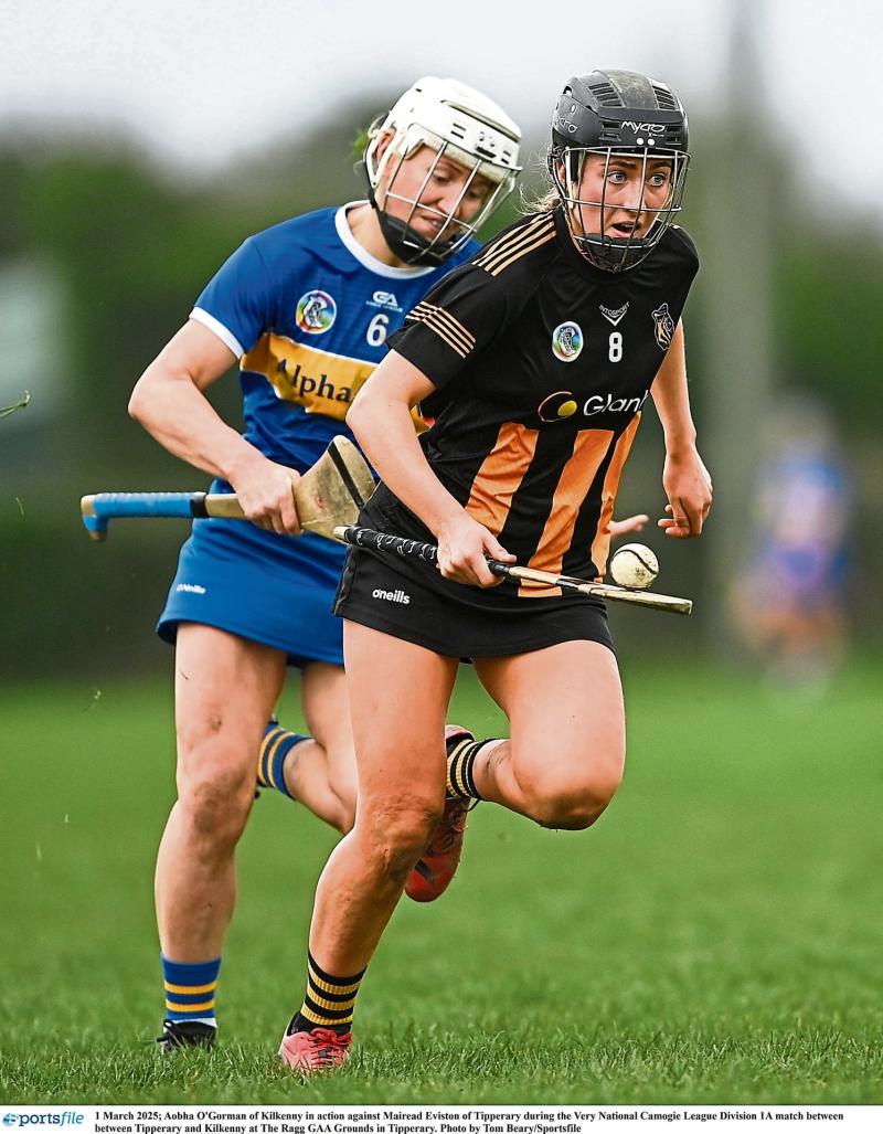 Hopes growing that Leinster Senior Camogie Final will go ahead on Saturday