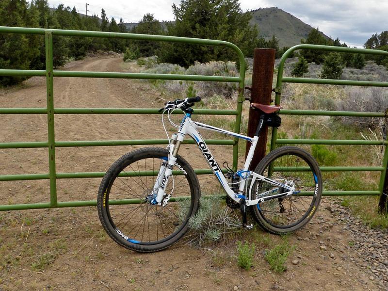 A Giant bicycle