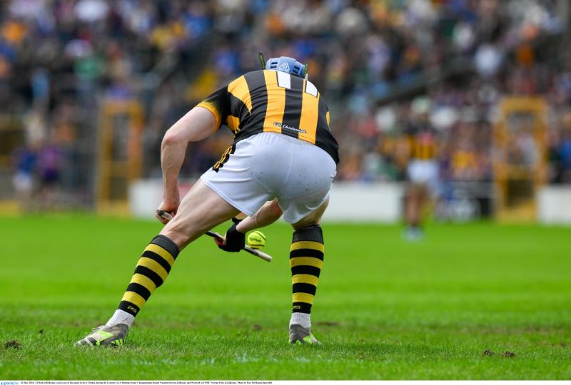 TEAM NEWS: Kilkenny panelists handed their chance for away trip to Wexford 
