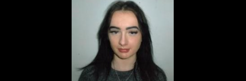 Gardaí 'concerned' for wellbeing of missing 16-year-old as appeal to find her is launched 