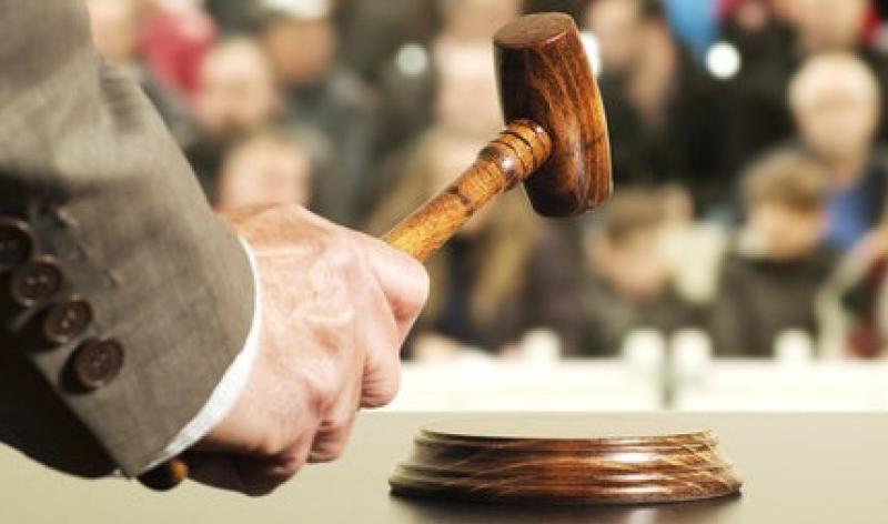 REVEALED: Kilkenny land to go under the hammer as part of summer sale 