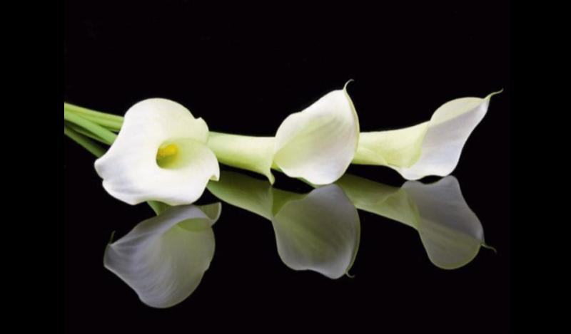 RIP: Kilkenny parish remember dedicated community man 
