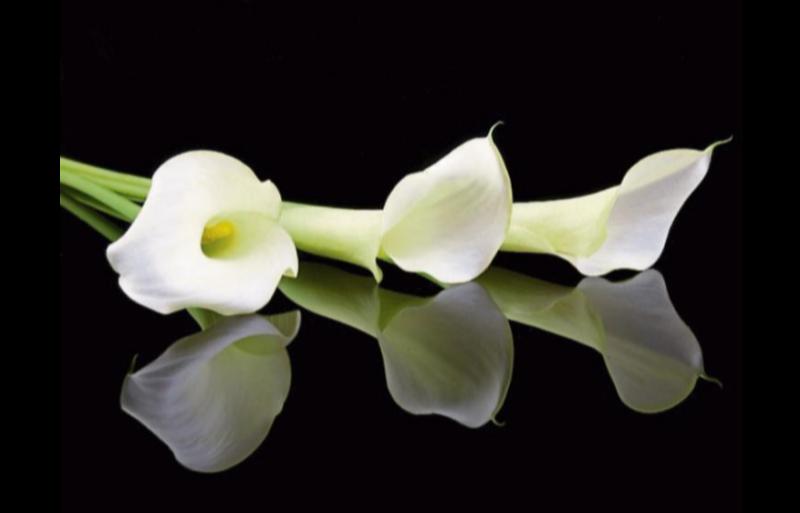 RIP: Kilkenny remembers man who served his country 'loyally and faithfully'
