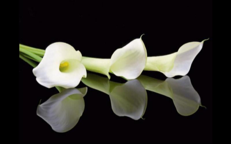 RIP: Kilkenny mourns the passing of man who will be 'fondly remembered' 