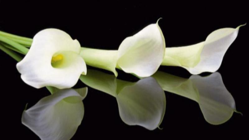 RIP: Kilkenny mourns the passing of 'irreplaceable character' 