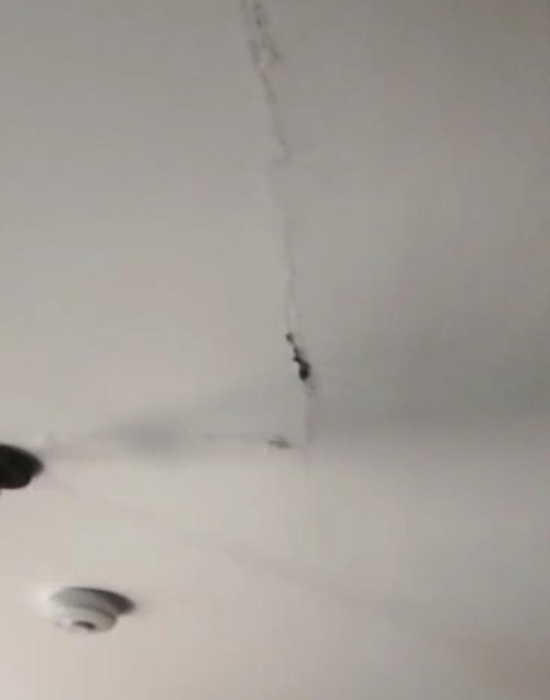 ICYMI: 'We’re living in dire straits' - Kilkenny woman pleads for help from council 
