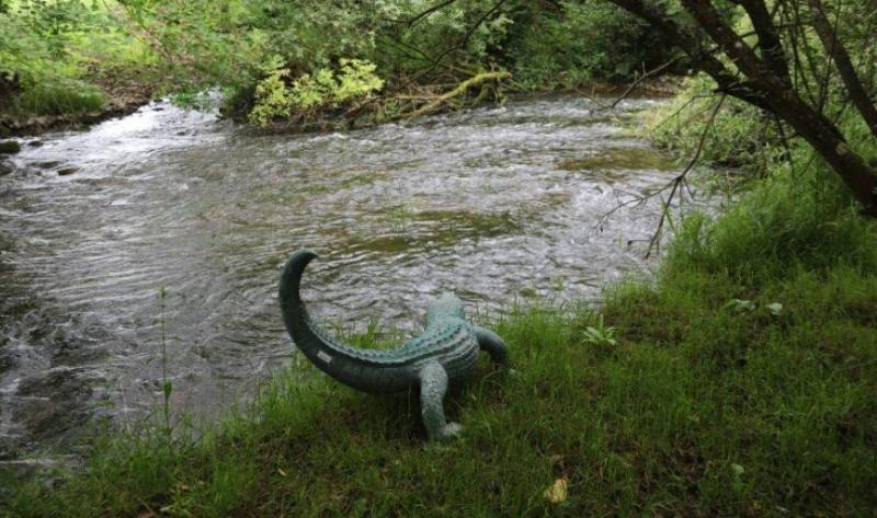 Crocodile spotted on tributary of the River Nore? - Kilkenny Live
