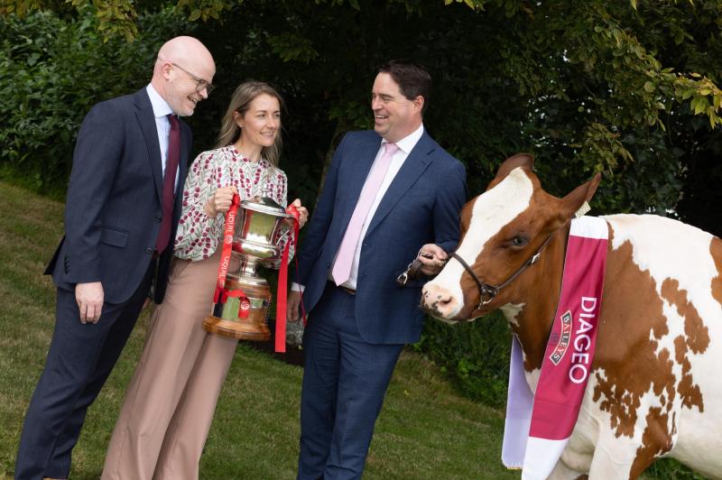 Diageo cow contest launch