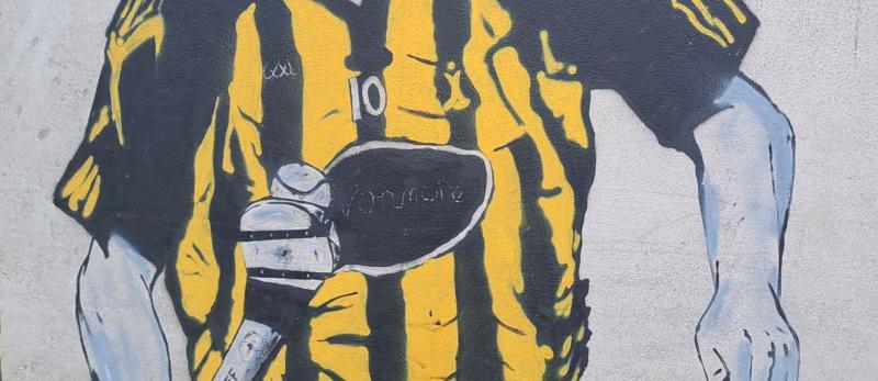 More Kilkenny hurling greats painted on to the walls of UPMC Nowlan Park 