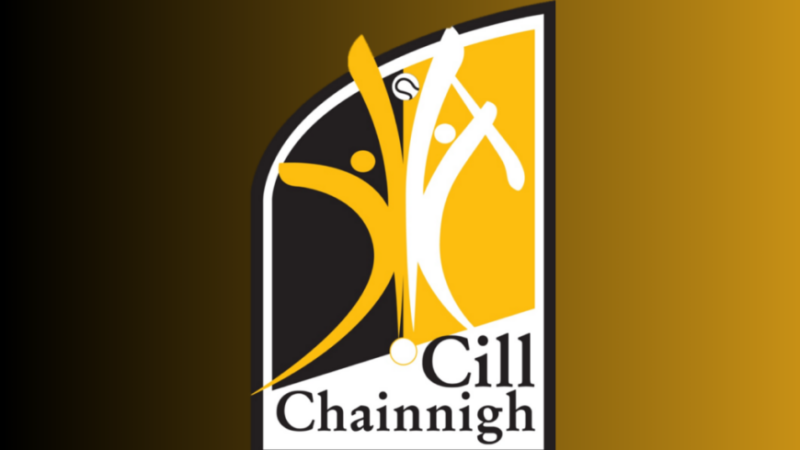 ICYMI: Two notable figures to depart Kilkenny hurling roles 