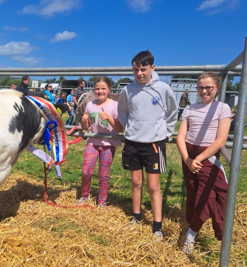 Kilkenny family's day out at Tinahely Show