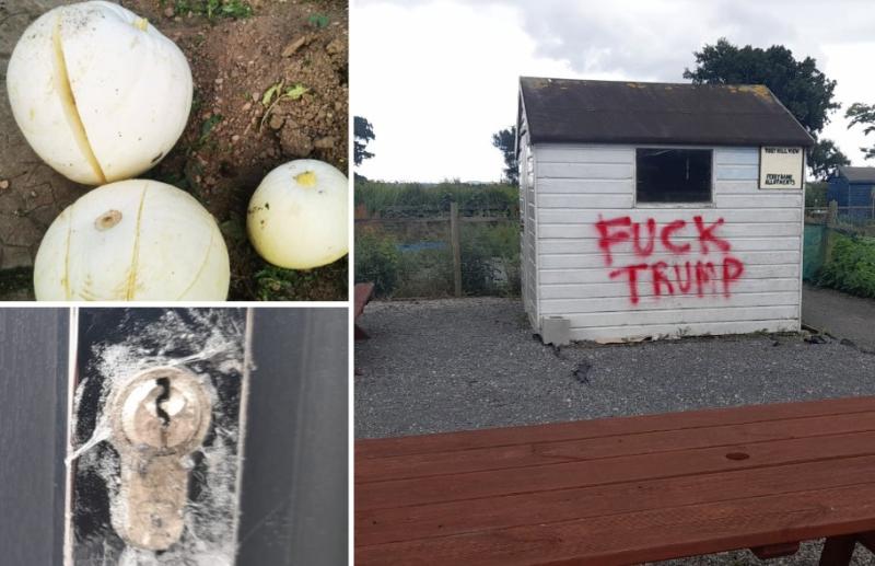 'F**k Trump' - Bizarre graffiti and vandalism at allotments in Kilkenny