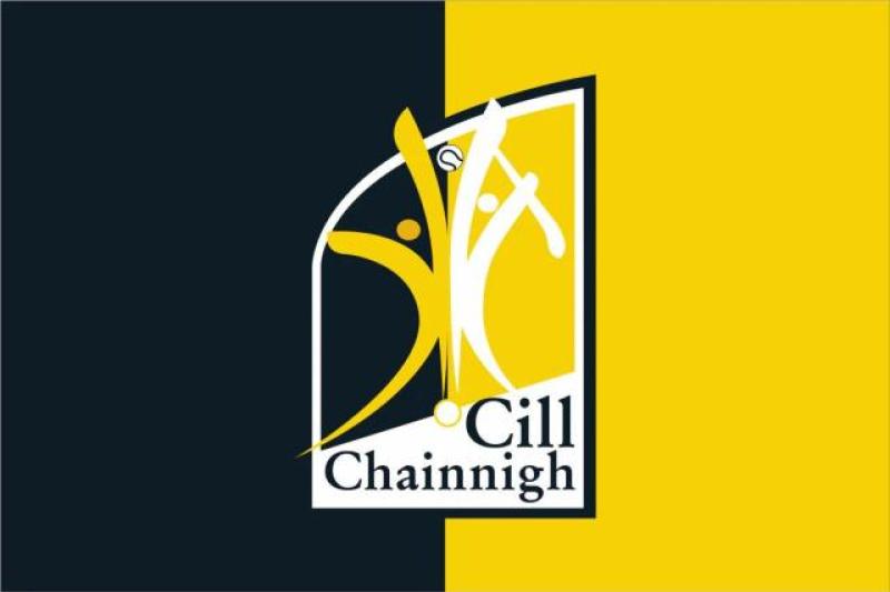 The hunt is on to fill an important vacant Kilkenny GAA role 
