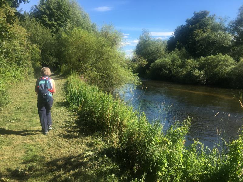 Kilkenny scenic routes named as two of the best in Ireland