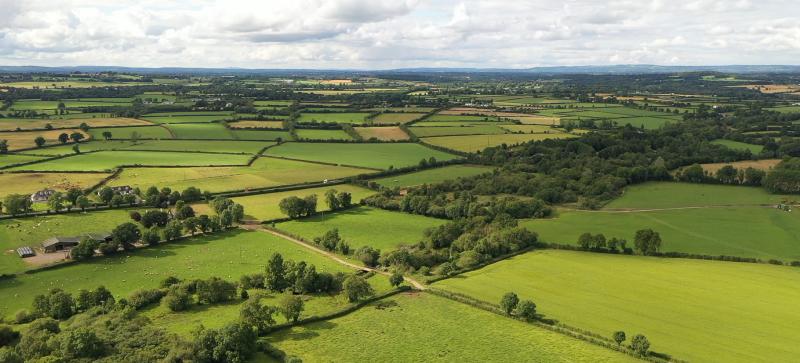 Kilkenny co-op's ESG Officer appointed to national board
