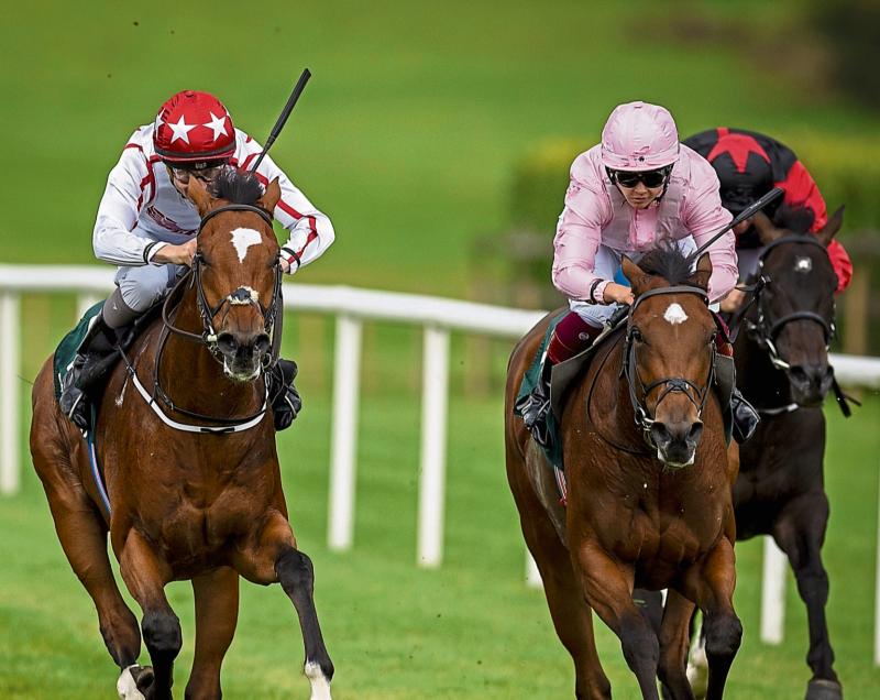 Kilkenny Racing- Foley and Slaudeen score Saturday success on the track