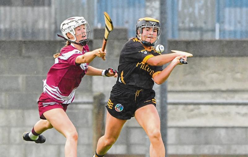 County champions Piltown power into Kilkenny Senior Camogie League Final