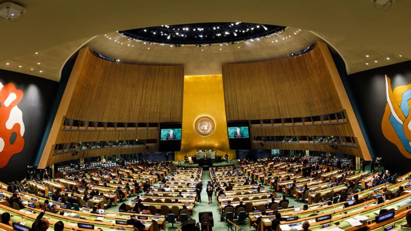‘Pivotal time for the international community:’ Kilkenny senator urges action at UN General Assembly