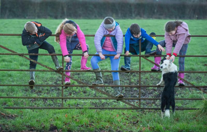New service for children and young adults of Kilkenny farm families