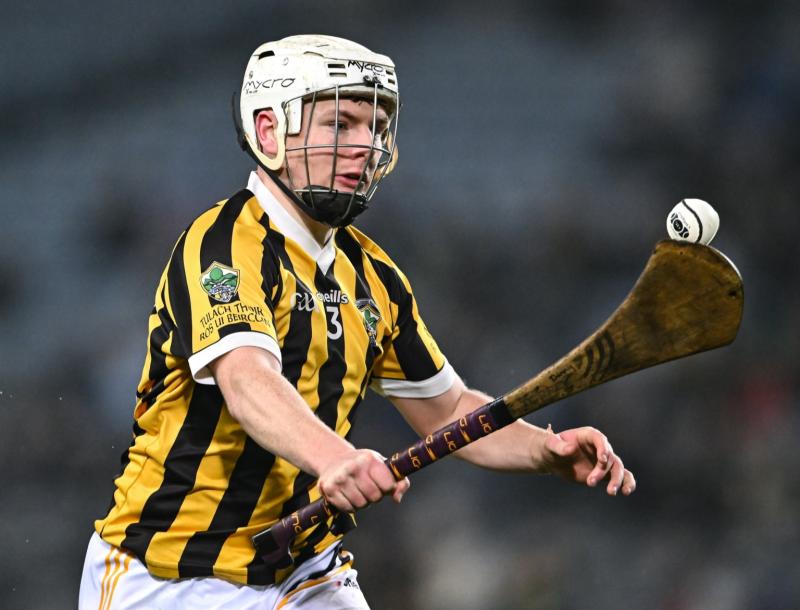 Kilkenny IHC- Tullogher Rosbercon battle to big win over Carrickshock