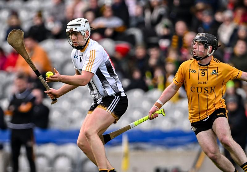 Kilkenny IHL- Freshford maintain their status with win over St Martin's