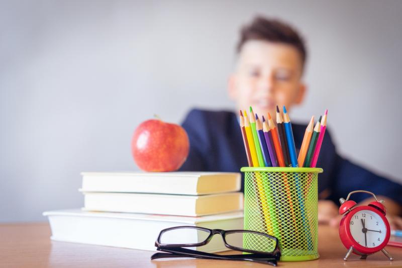 Query lodged over delivery timeline for two new Kilkenny schools