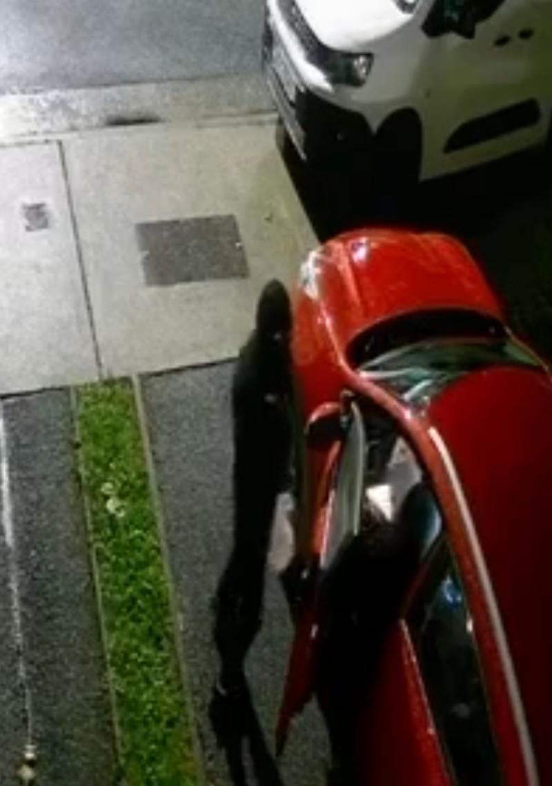 "Shocking" - Thieves pictured stealing and prowling Kilkenny housing estate 