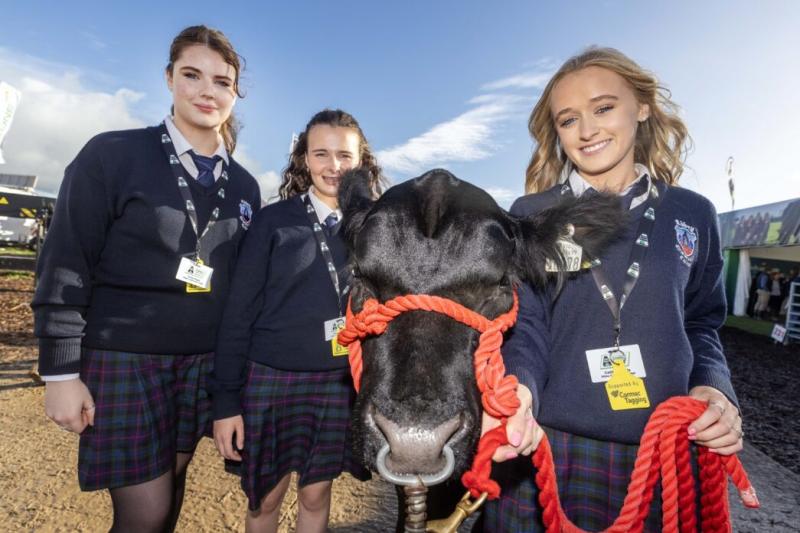 Irish Angus calves resented to Kilkenny student team