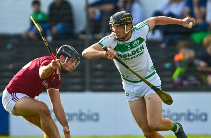 Must know info as Kilkenny senior and junior hurling pairings are revealed 