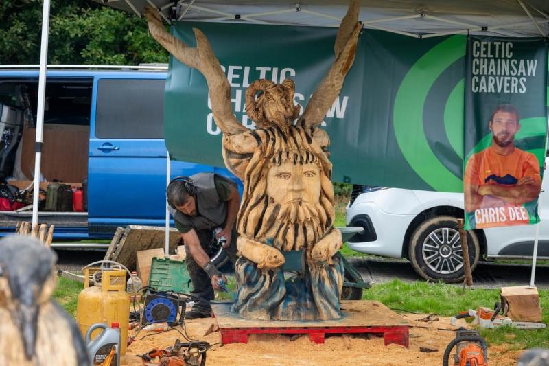Ireland's Festival of Forestry to be held on Kilkenny border