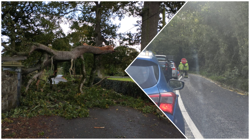 FYI: Car crash and fallen trees reported in Kilkenny as Storm Amy hits
