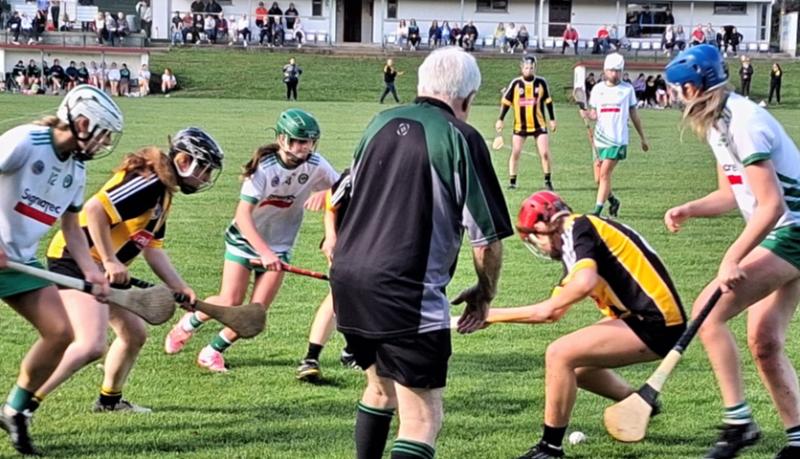 Kilkenny Camogie- Danesfort impress in commanding win over Ballyhale