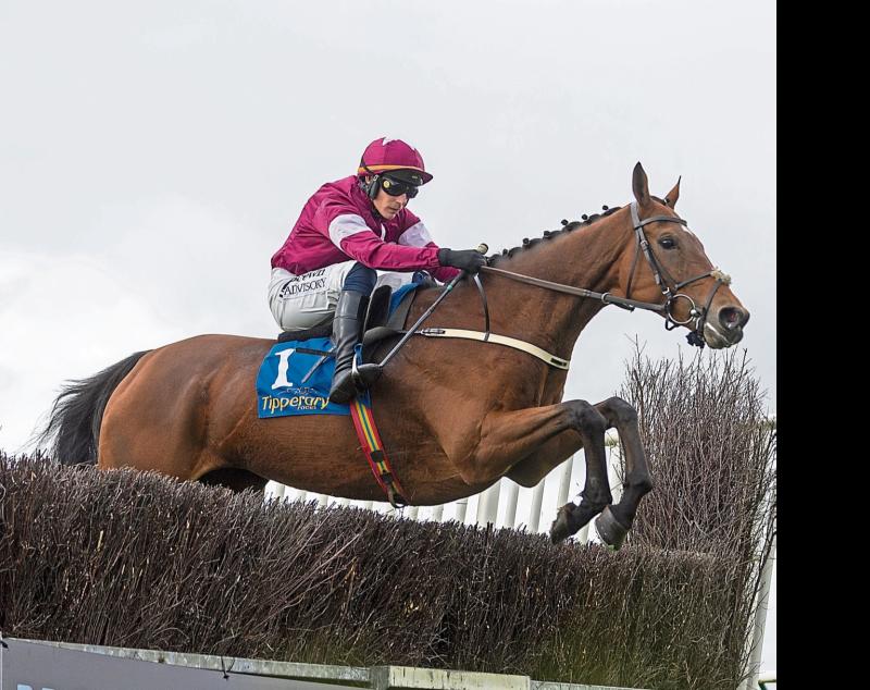 Kilkenny Racing- Tipp triumph for Mullins and Townend duo