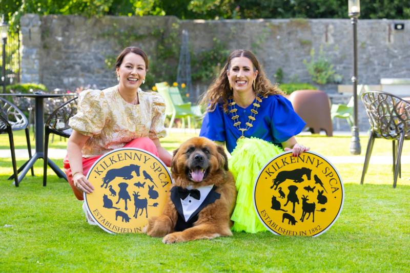Network Ireland Kilkenny launches charity event with KSPCA